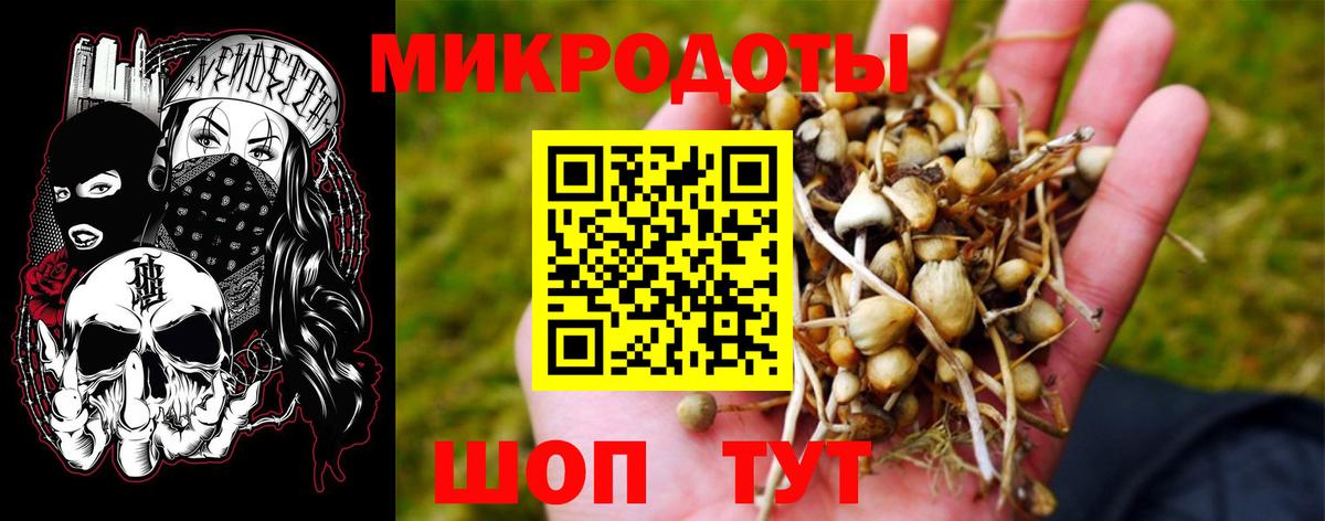 Галлюциногенные грибы GOLDEN TEACHER  Псилоцибиновые грибы MAGIC MUSHROOMS  Коркино  Вход с VPN 